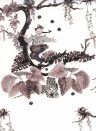 Ailanto Wallpaper Juggler Quietly Enchanting