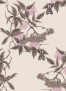 Florale Tapete Sambuco von Ailanto - Coffee & Pink