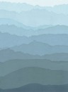 Zoffany Papier peint panoramique Wray - La Seine