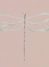 Scion Papier peint Dragonfly - Rose