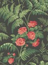 Cole & Son Wallpaper Rose Green/ Charcoal