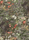 Cole & Son Wallpaper Woodland Dark Green