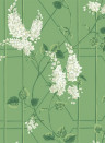 Cole & Son Wallpaper Wisteria Sage/ Leaf Green
