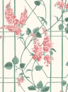 Cole & Son Wallpaper Wisteria Coral/ Sage