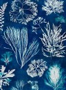Mindthegap Papier peint Algae - Navy Blue