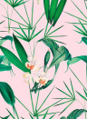 MINDTHEGAP Wallpaper Palm Springs Pink
