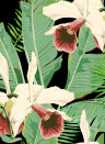 MINDTHEGAP Wallpaper Treasure Island Anthracite