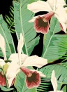Florale Tapete Treasure Island von MINDTHEGAP - WP20364