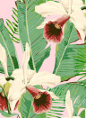 MINDTHEGAP Wallpaper Treasure Island Pink