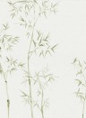 Wandbild Arashiyama von Sandberg - Green