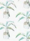 Scion Wallpaper Crassula Juniper/ Lime