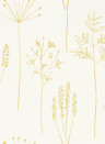 Scion Papier peint Stipa - Honey