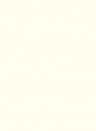 Les Couleurs Le Corbusier poLyChro Farbe - 4320B blanc ivoire - 5l