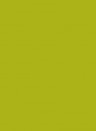 Les Couleurs Le Corbusier poLyChro Farbe 4320F vert olive vif 5l