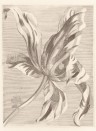 Eijffinger Papier peint Tulip Teyler - Weiß Schwarzweiß