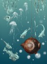 Edmond Petit Wallpaper Nautilus/ Méduses/ Nénuphars - Turquoise Nautilus droit - Turquoise