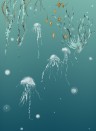 Edmond Petit Wallpaper Nautilus/ Méduses/ Nénuphars - Turquoise Méduses gauche - Turquoise
