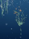 Edmond Petit Wallpaper Nautilus/Méduses/Nénuphars - Marine Nénuphars gauche - Marine