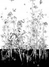 Edmond Petit Wallpaper Licvres/Fenouil/Tournesol - Blanc et Noi Fenouil Sauvage Droit - Blanc et Noir