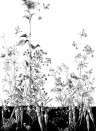 Edmond Petit Wallpaper Licvres/Fenouil/Tournesol - Blanc et Noi Tournesol Gauche - Blanc et Noir