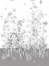 Edmond Petit Wallpaper Licvres/Fenouil/Tournesol - Gris Fenouil Sauvage Droit - Gris