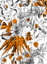 Edmond Petit Wallpaper Feu d'Artifice Lcgumes Feu d'Artifice Lègumes - Carotte