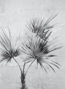 Eijffinger Wallpaper Palm Ombre Greyscale