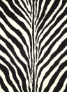 Flock Tapete Bartlett Zebra von Ralph Lauren - Charcoal