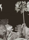 Paint & Paper Library Carta da parati panoramica Aloe Walk - Perse Grey