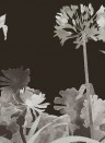 Wandbild Aloe Walk von Paint & Paper Library - Perse Grey