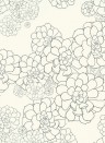 Florale Tapete Aeonium Paint & Paper Library - Clean White