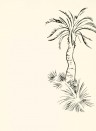 Paint & Paper Library Wallpaper Lighthouse Palm Pentle