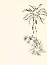 Tapete Lighthouse Palm von Paint & Paper - Pentle