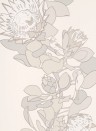 Paint & Paper Library Wallpaper Protea Trail Slate