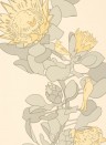 Paint & Paper Library Wallpaper Protea Trail Clay