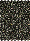 Clarke & Clarke Fabric Wild Strawberry - Embroidery - Noir