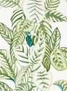 Blätter Tapete Calathea von Sanderson - Botanical Green