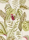 Blätter Tapete Calathea von Sanderson - Olive