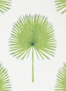 Sanderson Papier peint Fan Palm - Botanical Green