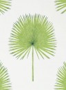 Sanderson Wallpaper Fan Palm Botanical Green