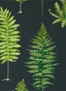 Tapete Fernery von Sanderson - Botanical Green/ Charcoal