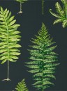 Sanderson Papier peint Fernery - Botanical Green/ Charcoal