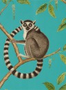 Sanderson Carta da parati Ringtailed Lemur - Teal