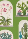 Sanderson Wallpaper Terrariums Botanical Green/ Multi