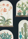 Sanderson Wallpaper Terrariums Ink/ Multi
