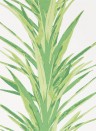 Sanderson Wallpaper Yucca Botanical Green