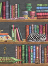 Cole & Son Wallpaper Libreria Rich Multi - 114/13025