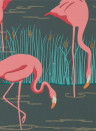 Harlequin Wallpaper Salinas Ebony/ Coral/ Lagoon