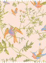 Cole & Son Tissu Hummingbirds Cotton - Tangerine/ Olive on Blush
