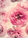 Rosentapete Summer Wind von Rebel Walls - Pink
